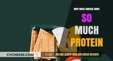 Why Cheese is a High-Protein Food: Uncovering Its Nutritional Secrets