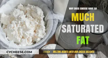 Why Cheese is High in Saturated Fat: Uncovering the Dairy Truth