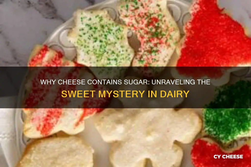 why does cheese have sugar