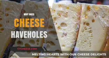 Why Cheese Has Holes: Uncovering the Science Behind Swiss Cheese