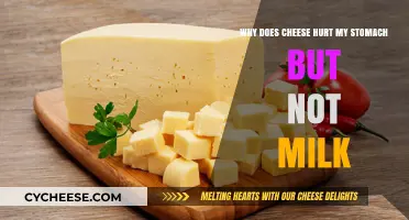Cheese vs. Milk: Why Does Cheese Upset My Stomach?