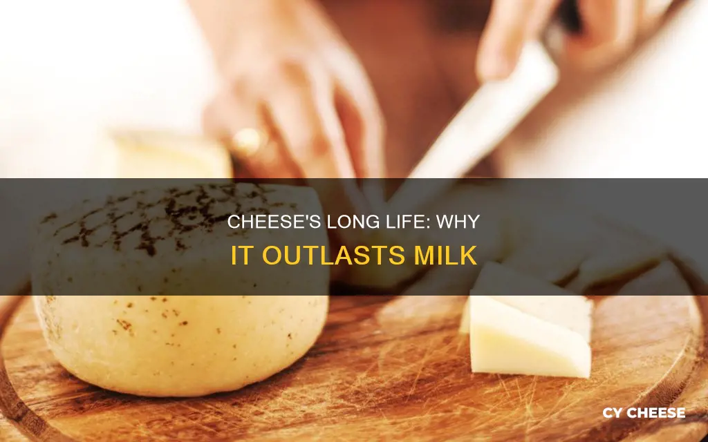 why does cheese last longer than milk