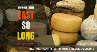 Cheese's Long Life: The Science Behind Its Durability