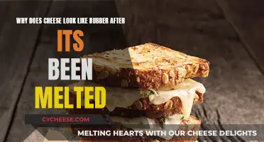 Cheese Melting Mystery: Rubber-like Appearance Explained