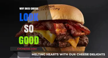 The Irresistible Appeal: Why Cheese Always Looks Mouthwateringly Good