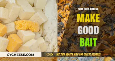 Why Cheese is the Ultimate Bait: Secrets to Hooking Fish Fast