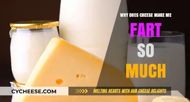 Why Cheese Causes Excessive Gas: Unraveling the Smelly Mystery