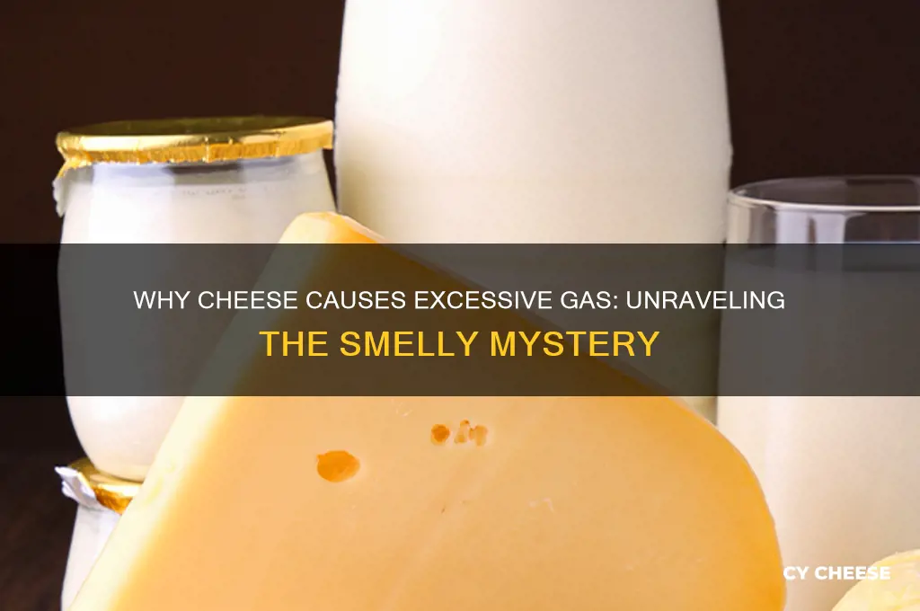 why does cheese make me fart so much