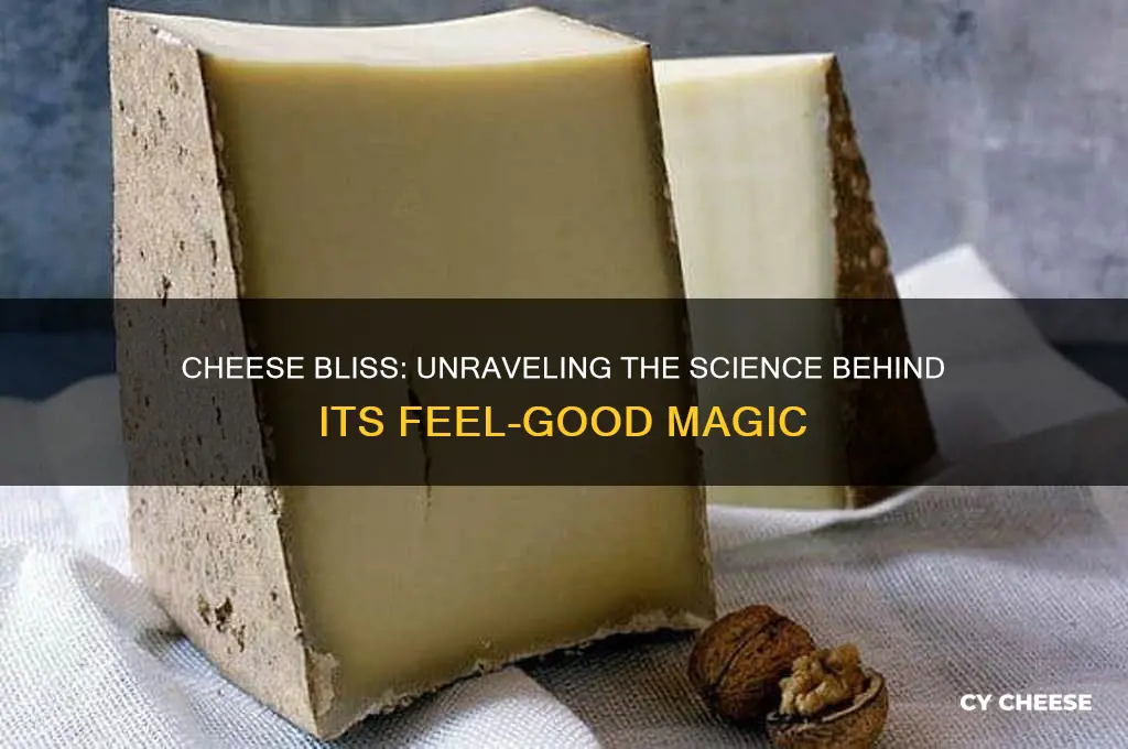 why does cheese make you feel good