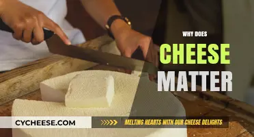 Why Cheese Matters: Uncovering Its Cultural, Culinary, and Nutritional Impact