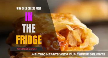 Cheese Melting Mystery: Fridge Science Explained