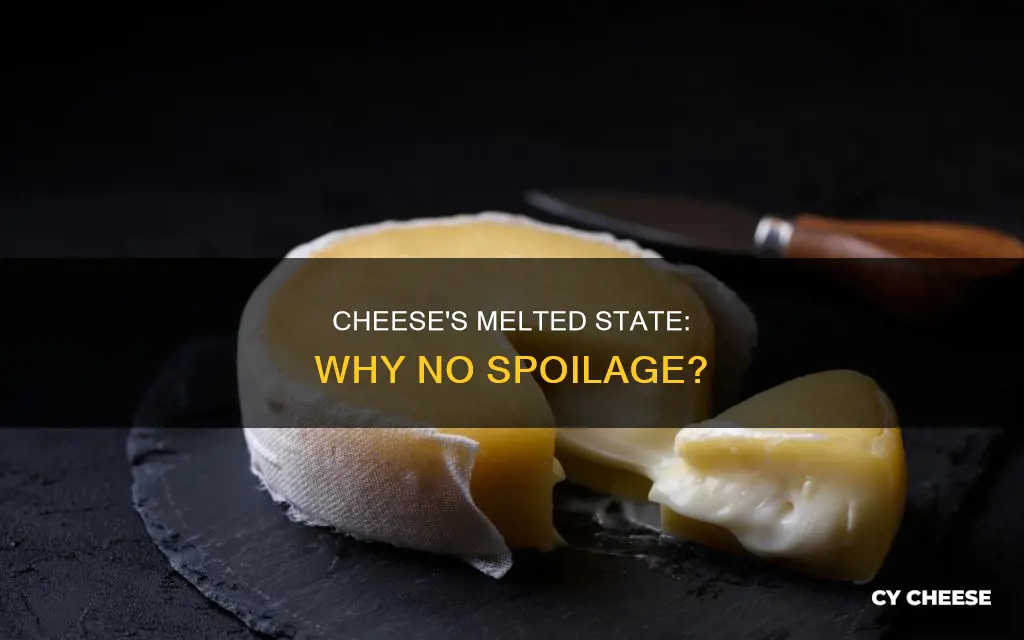 why does cheese never spoil if kept melted