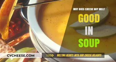 Why Cheese Resists Melting in Soup: Unraveling the Mystery