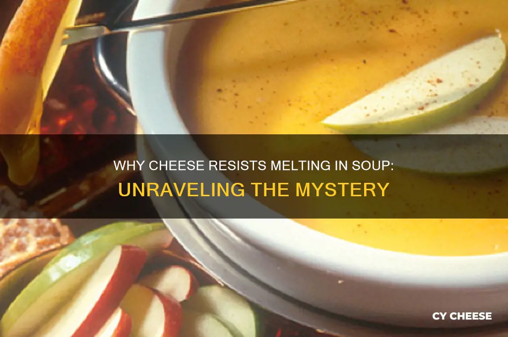 why does cheese noy melt good in soup