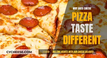 Cheese Pizza: Why Does It Taste Different?