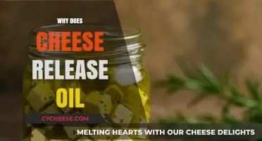 Why Does Cheese Release Oil? Uncovering the Science Behind It