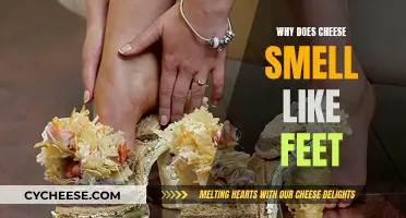 Cheese and Feet: What's the Stinky Connection?