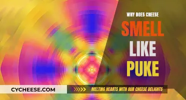 Cheese's Pungent Aroma: Why Does It Remind Us of Vomit?