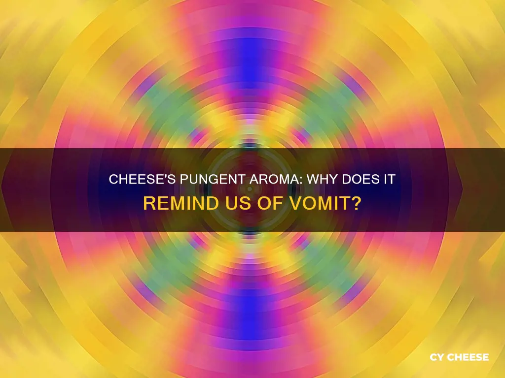 why does cheese smell like puke