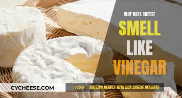 Cheese and Vinegar: The Science Behind That Sour Smell
