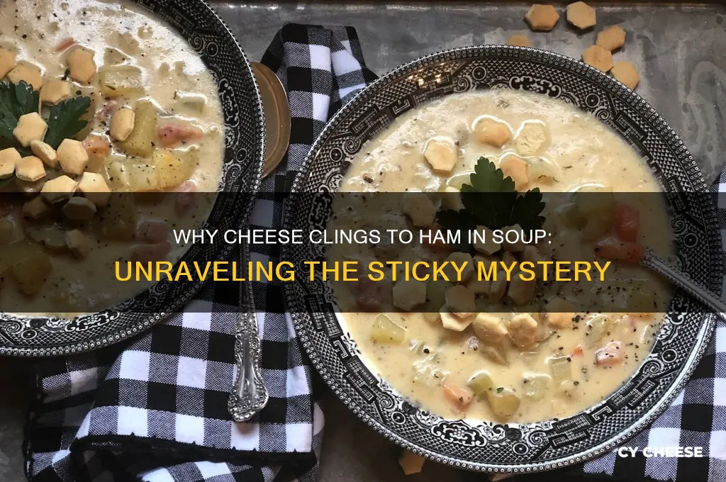 why does cheese stick to ham in my soup