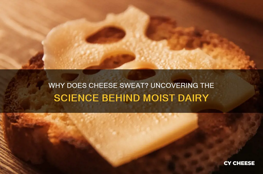 why does cheese sweat