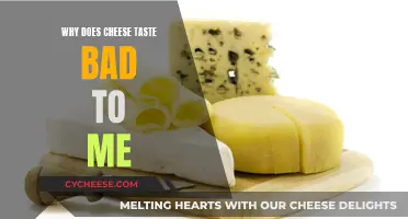 Cheese Aversion: Why Does Cheese Taste Bad?