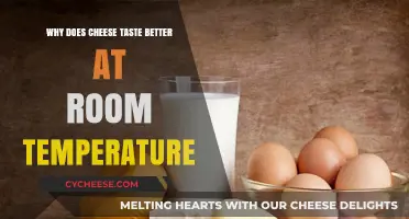 Room Temperature Cheese: Unlocking Flavor Secrets for Maximum Enjoyment