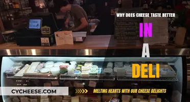 Why Deli Cheese Tastes Superior: Secrets Behind the Counter