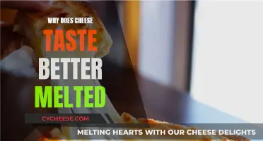 Cheese's Melty Magic: Why Taste Improves