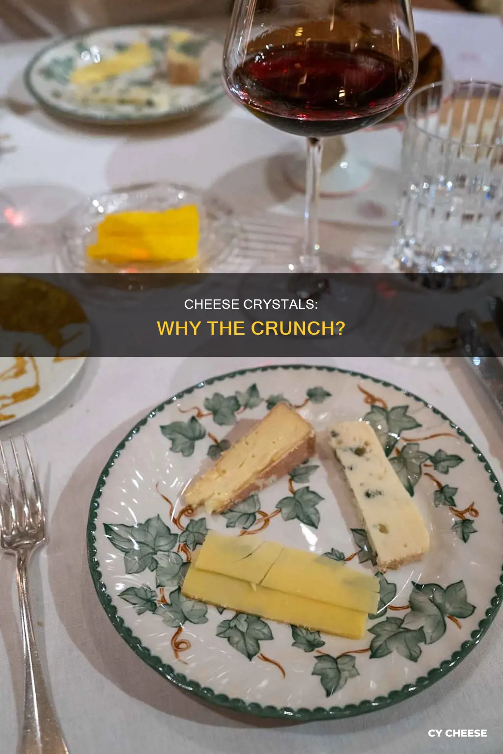 why does cheese taste like there