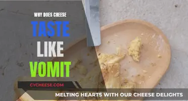 Cheese's Vomit Taste: Why Does It Happen?