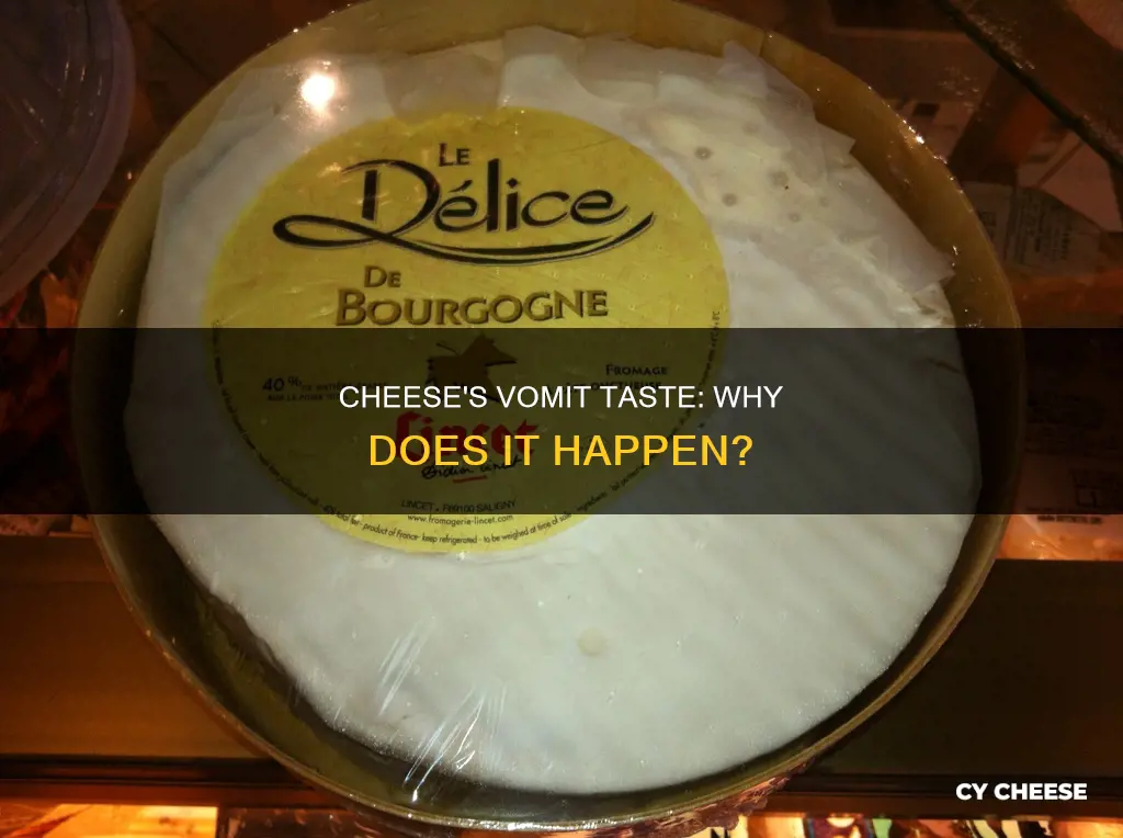 why does cheese taste like vomit