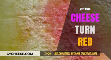 Why Does Cheese Turn Red? Uncovering the Surprising Science Behind It