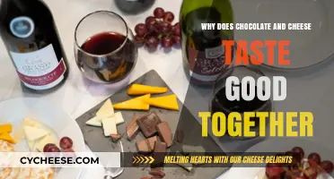Chocolate and Cheese: Unraveling the Delicious Science Behind Their Perfect Pairing
