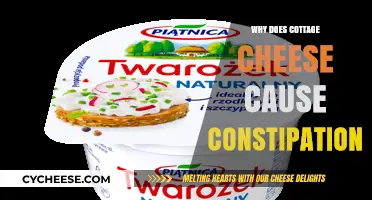 Cottage Cheese and Constipation: Understanding the Surprising Digestive Connection