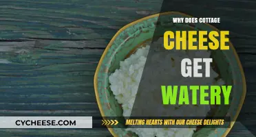 Why Cottage Cheese Turns Watery: Causes and Prevention Tips