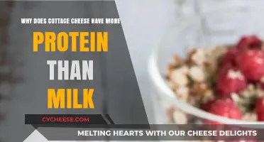 Cottage Cheese vs. Milk: Unlocking the Higher Protein Secret