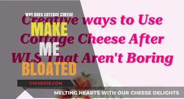 Why Cottage Cheese Causes Bloating: Understanding Digestive Discomfort