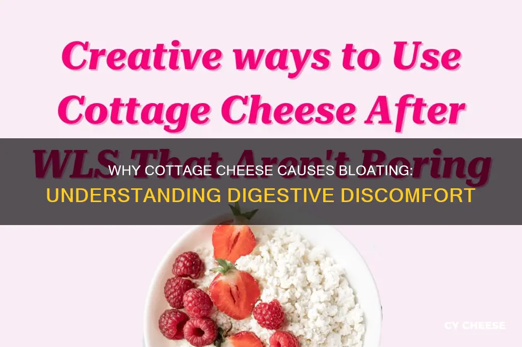 why does cottage cheese make me bloated