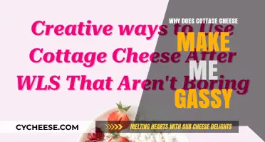 Cottage Cheese and Gas: Unraveling the Bloating Mystery