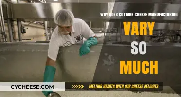 Cottage Cheese Variations: Exploring Diverse Manufacturing Techniques and Factors