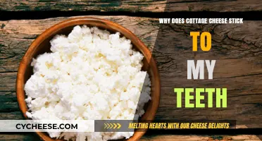 Why Cottage Cheese Sticks to Teeth: Unraveling the Dairy Mystery