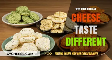 Why Cottage Cheese Tastes Unique: Exploring Flavor Variations and Factors