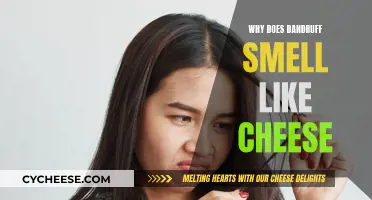Dandruff's Cheesy Smell: What's the Science Behind It?