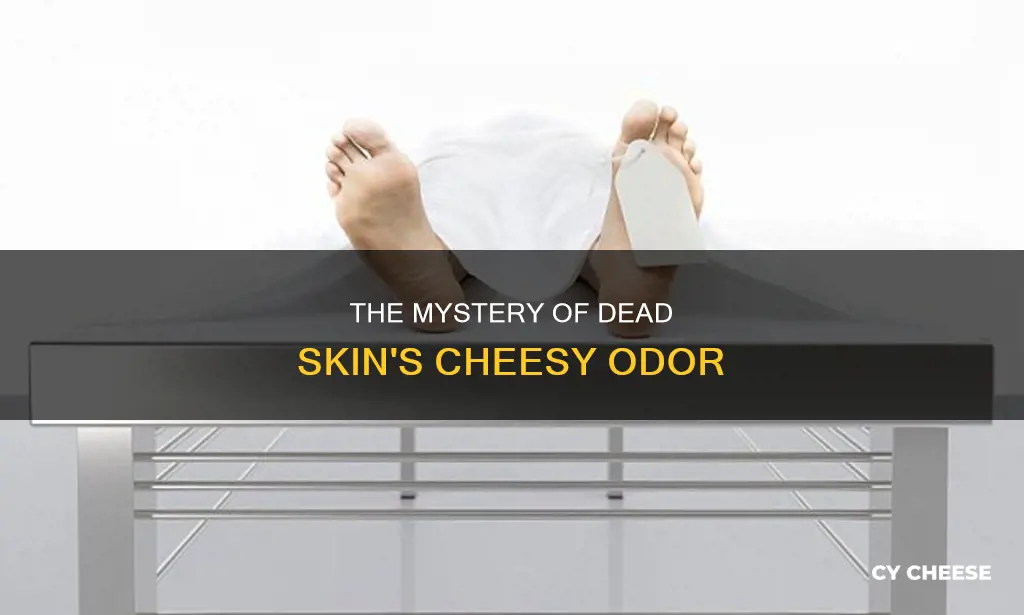 why does dead skin smell like cheese