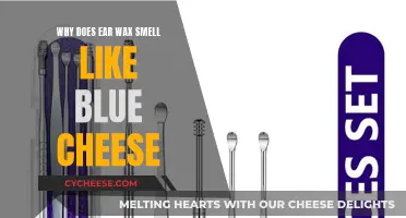 The Mystery of Ear Wax's Blue Cheese Odor