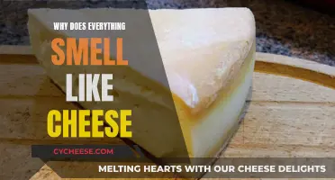 Unraveling the Mystery of Cheesy Scents