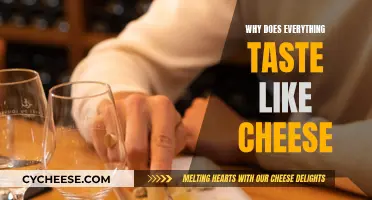 Cheese's Ubiquity: Why Everything Tastes Like Cheese