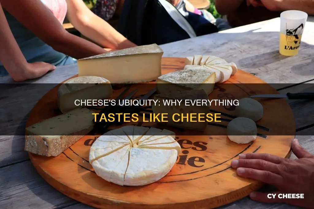 why does everything taste like cheese
